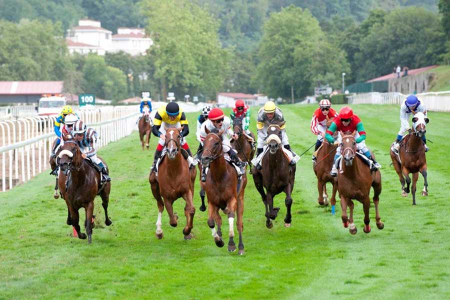 Carreras de caballos. Copa de Oro
