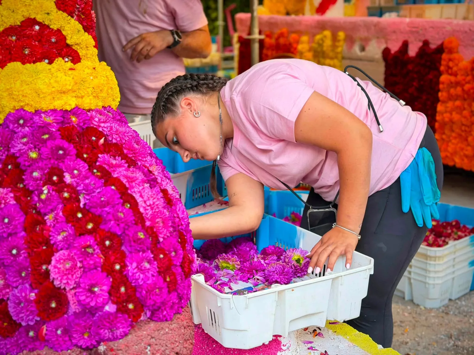 Persona inclinada sobre una caja de flor magenta junto a un lateral de carroza ya cubierto de flor rosa, roja y amarilla en hileras