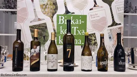 Cata de Bizkaiko Txakolina y Eusko Sagardo