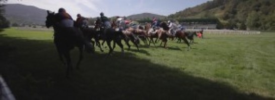 Carreras de caballos. Copa de Oro