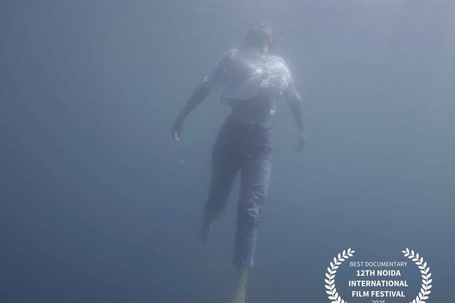 AIFF Festival de Cine Marítimo del Aquarium «Errio»