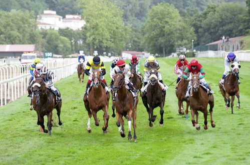 Carreras de caballos. Copa de Oro